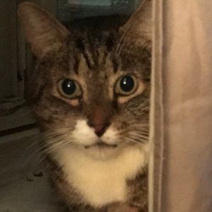 Meet your Posher, Gary